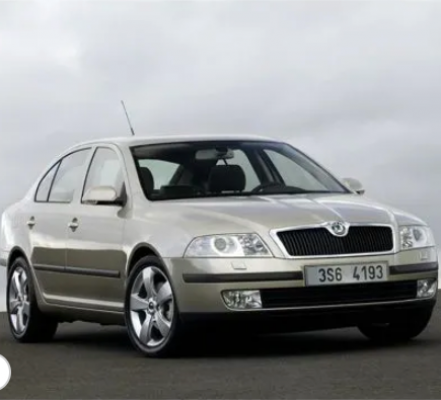 Ремонт Детейлинг Skoda Octavia 2004-2009